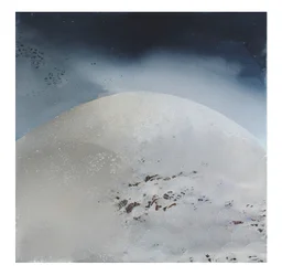 Stardust, 2010,